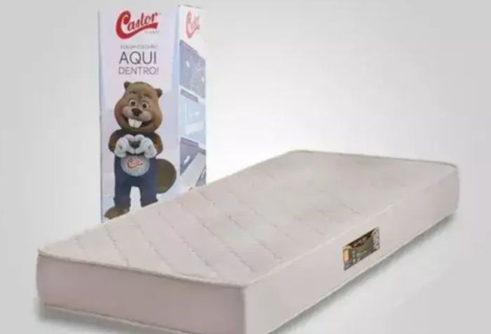 Casor na caixa solteiro